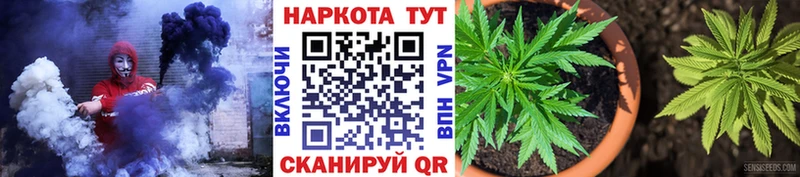 Наркотические вещества Высоцк Галлюциногенные грибы  АМФ  Гашиш  Мефедрон  Конопля 