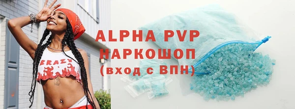 твердый Бородино