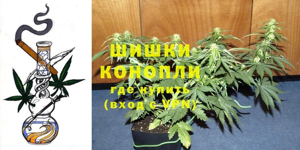 винт Кострома