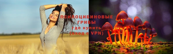 герыч Богородицк