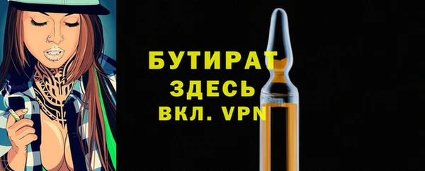 твердый Бородино
