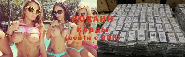 твердый Бородино