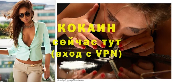 твердый Богородск