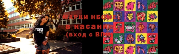 твердый Бородино