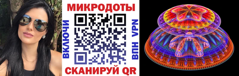 Псилоцибиновые грибы Psilocybine cubensis  Высоцк 